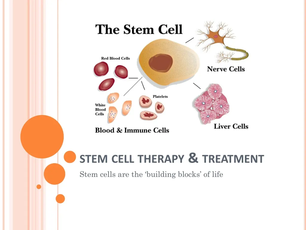 Ppt Stem Cell Therapy Powerpoint Presentation Free Download Id1367776