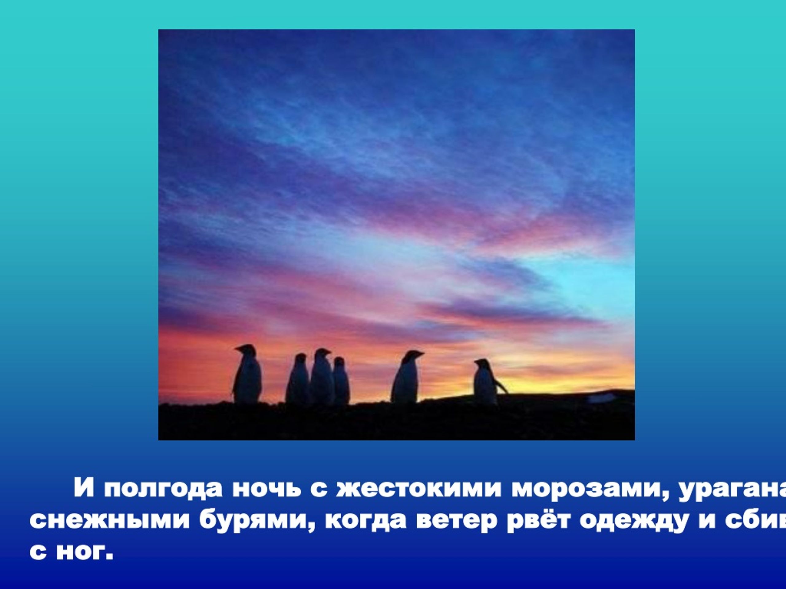 Одежду ветер рвет. Антарктида презентация полгода ночь. Полгода солнце полгода ночь. Полгола. Почему Антарктида странно Морозов и жестокого солнце.