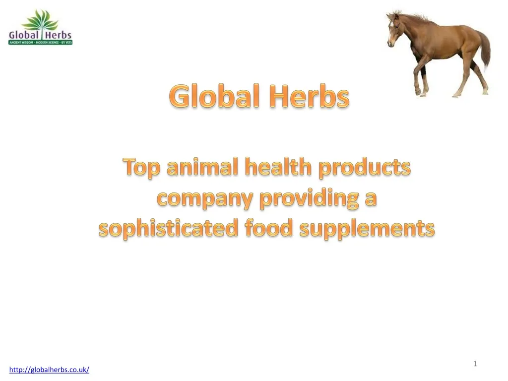 global herbs n.