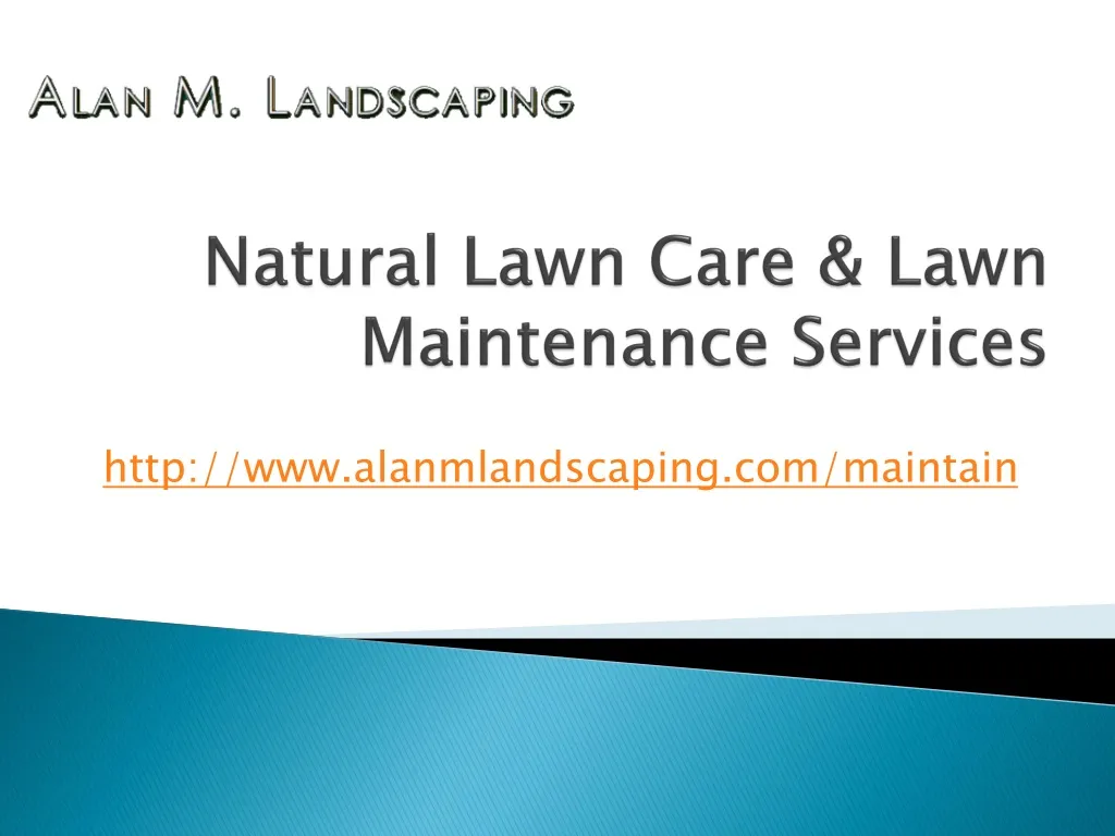 natural lawn care lawn maintenance services n.
