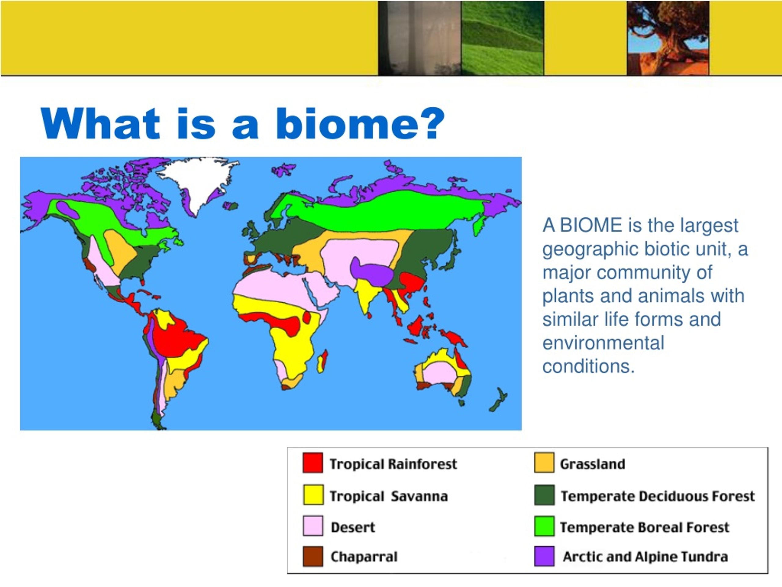 biome presentation assignment