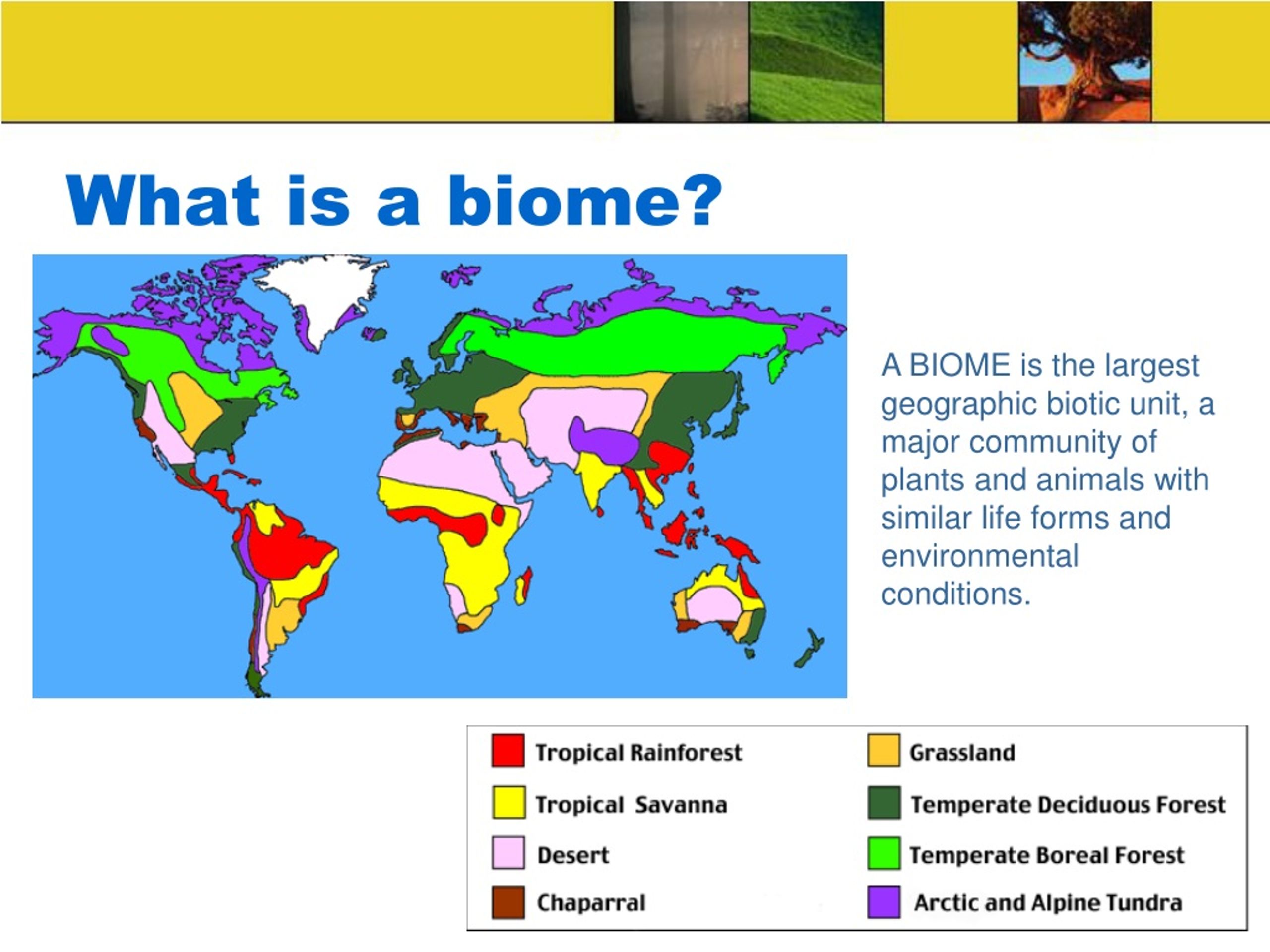 What Are The World S Biomes Introduction To Biomes World Map