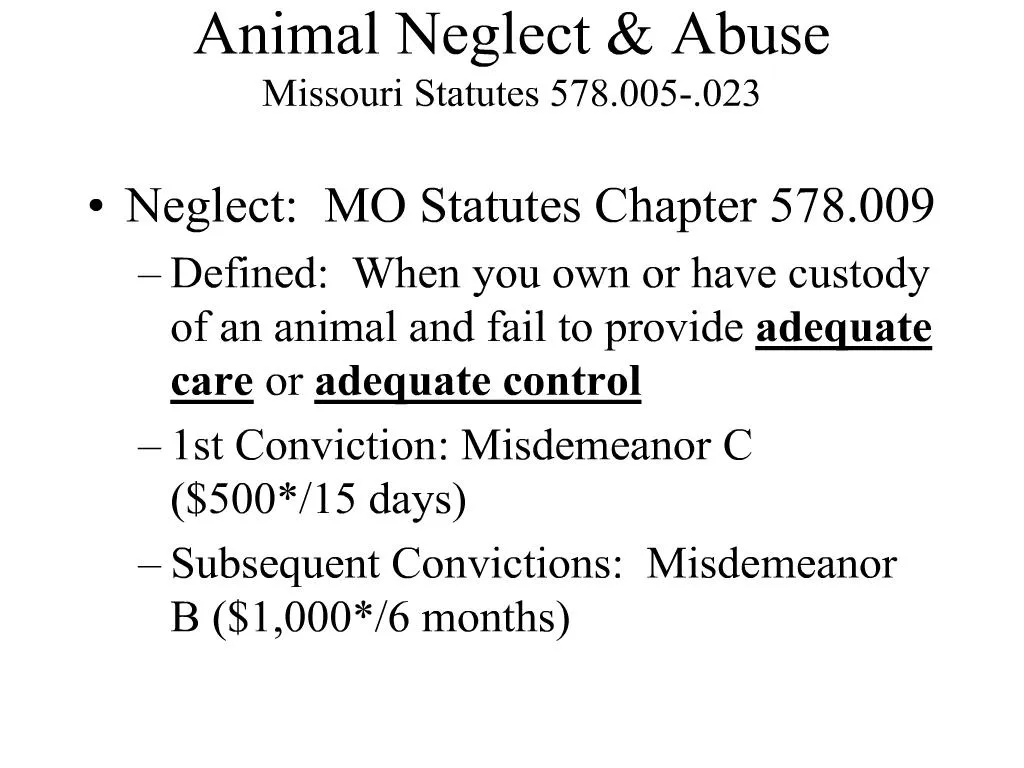 animal-neglect-facts-state-and-local-law-animal-legal-defense-fund