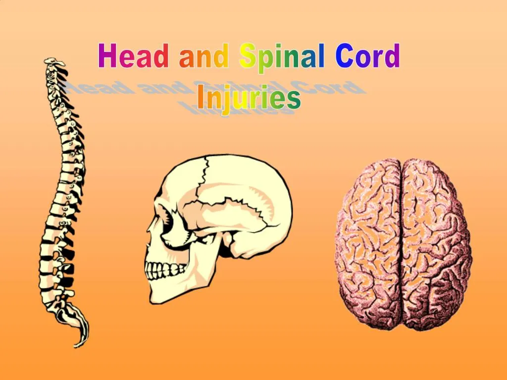 Ppt Head And Spinal Cord Injuries Powerpoint Presentation Free Download Id 1380057