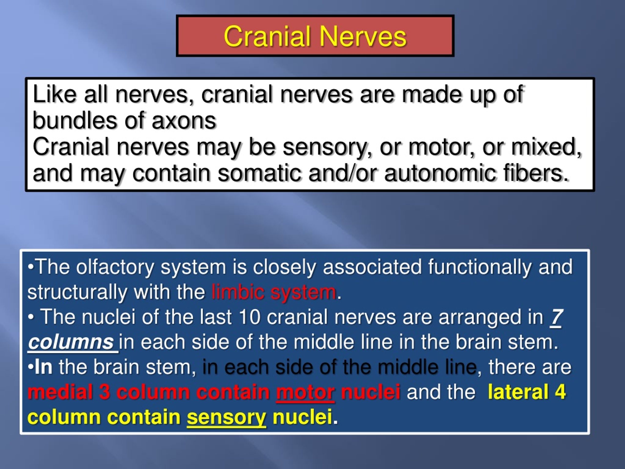 Ppt Cranial Nerves I By Prof Saeed Makarem Powerpoint Presentation Free Download Id1384286 9343