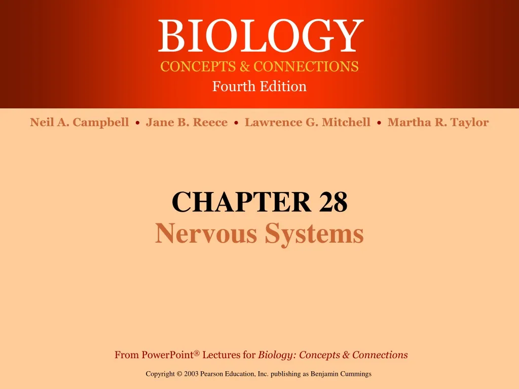 chapter 28 nervous systems n.