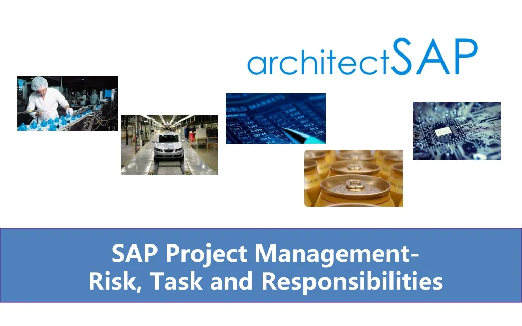 sap project management risk task and responsibilities n.