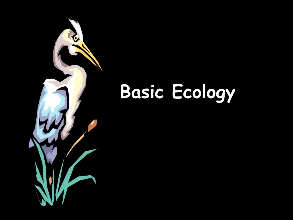 PPT - Basic Ecology PowerPoint Presentation, Free Download - ID:1389460