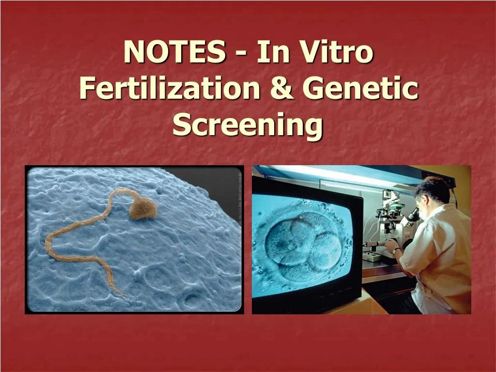 notes in vitro fertilization genetic screening n.