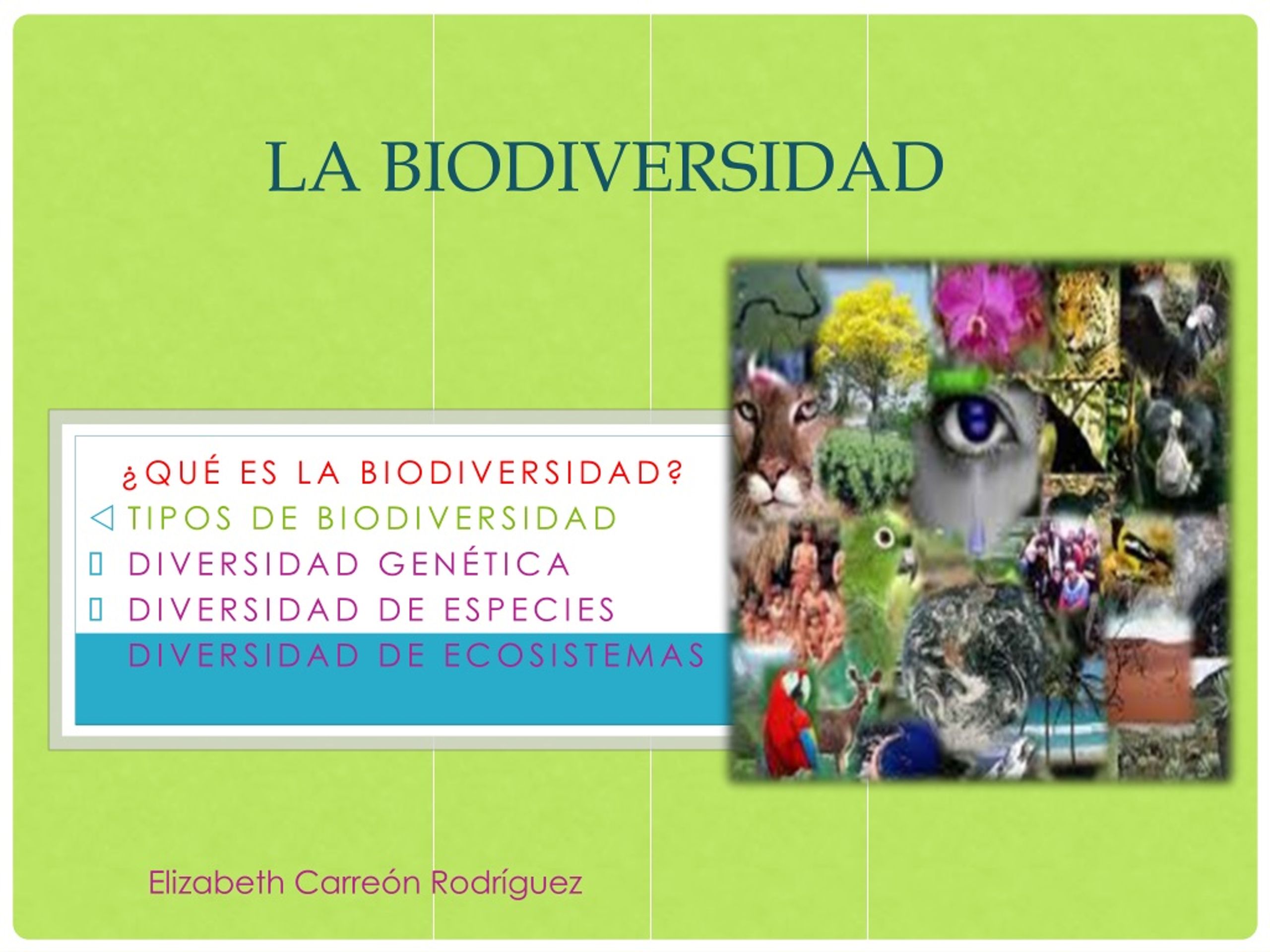 Ppt La Biodiversidad Powerpoint Presentation Free Download Id1392421 6485