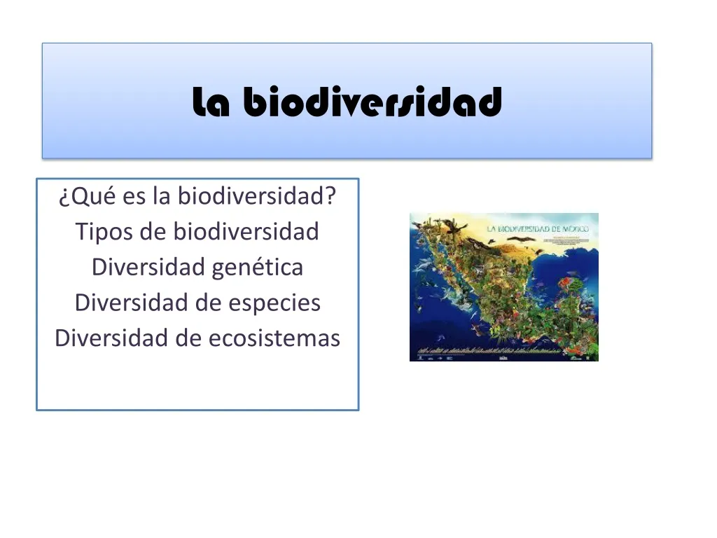 PPT - BIODIVERSIDAD PowerPoint Presentation, Free Download - ID:1392427