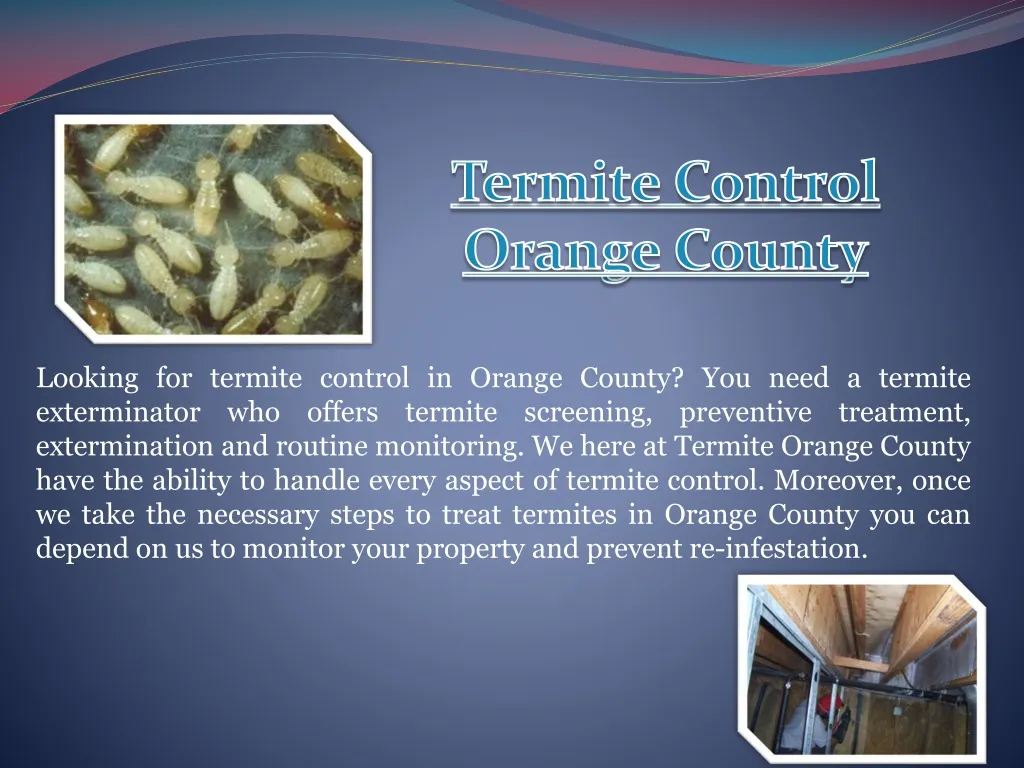 termite control orange county n.