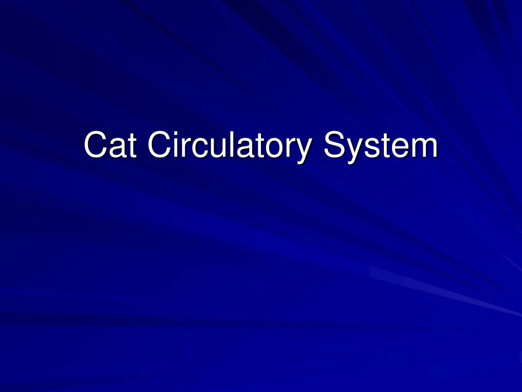 PPT Cat Circulatory System PowerPoint Presentation Free Download