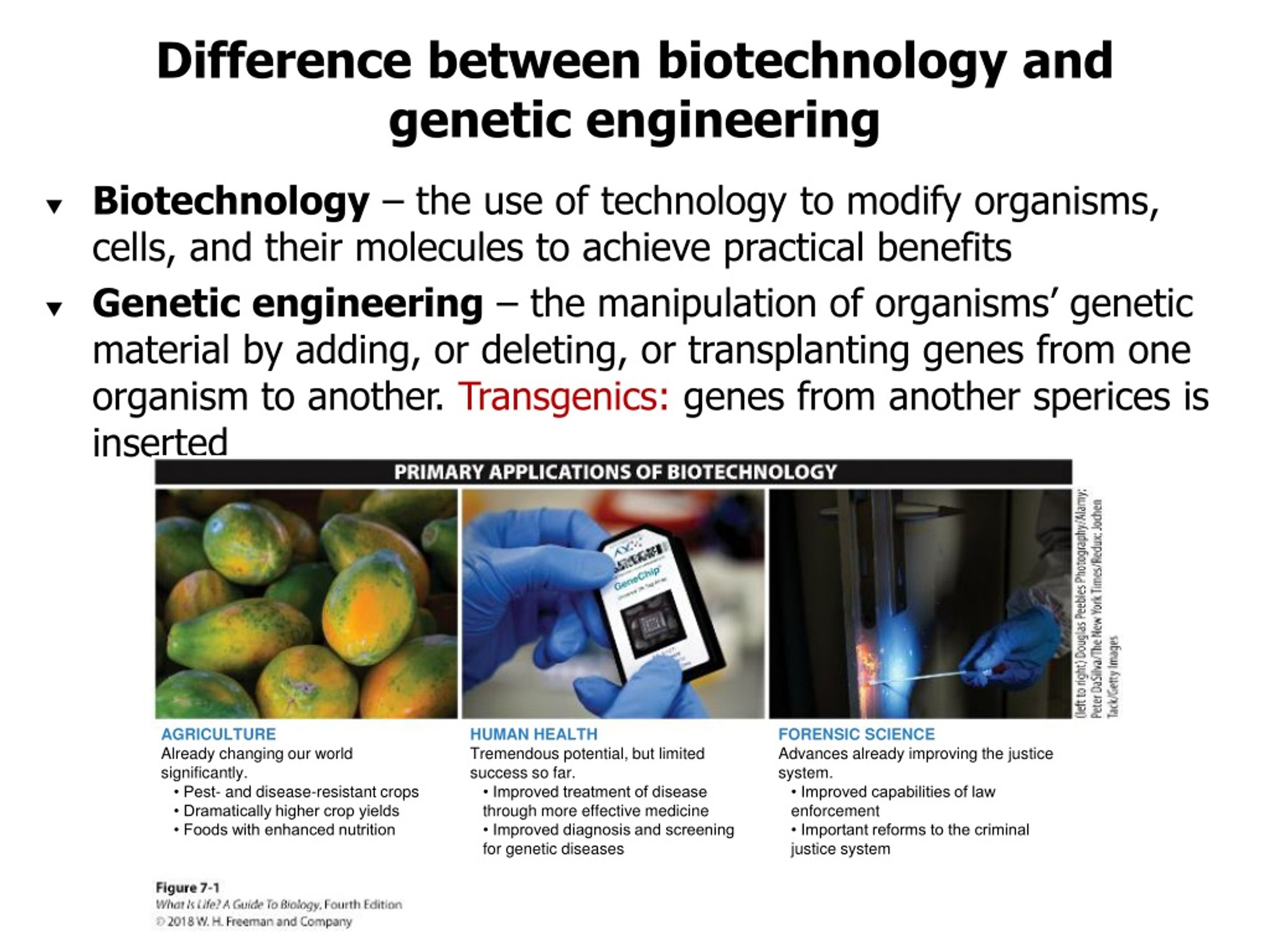 PPT Difference between biotechnology and engineering