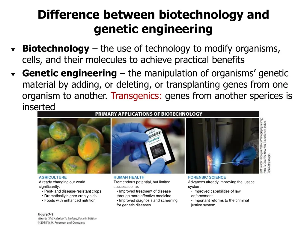 PPT - Difference Between Biotechnology And Genetic Engineering ...