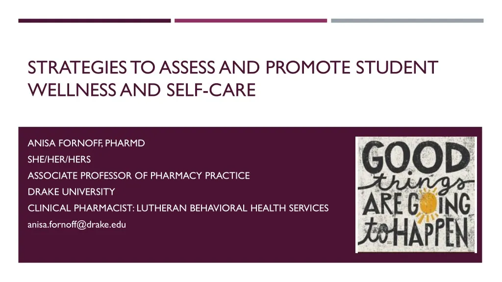 strategies to assess and promote student wellness and self care n.