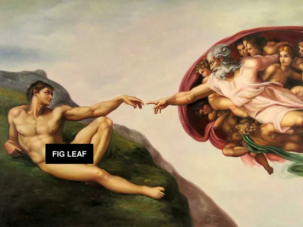 fig leaf n.