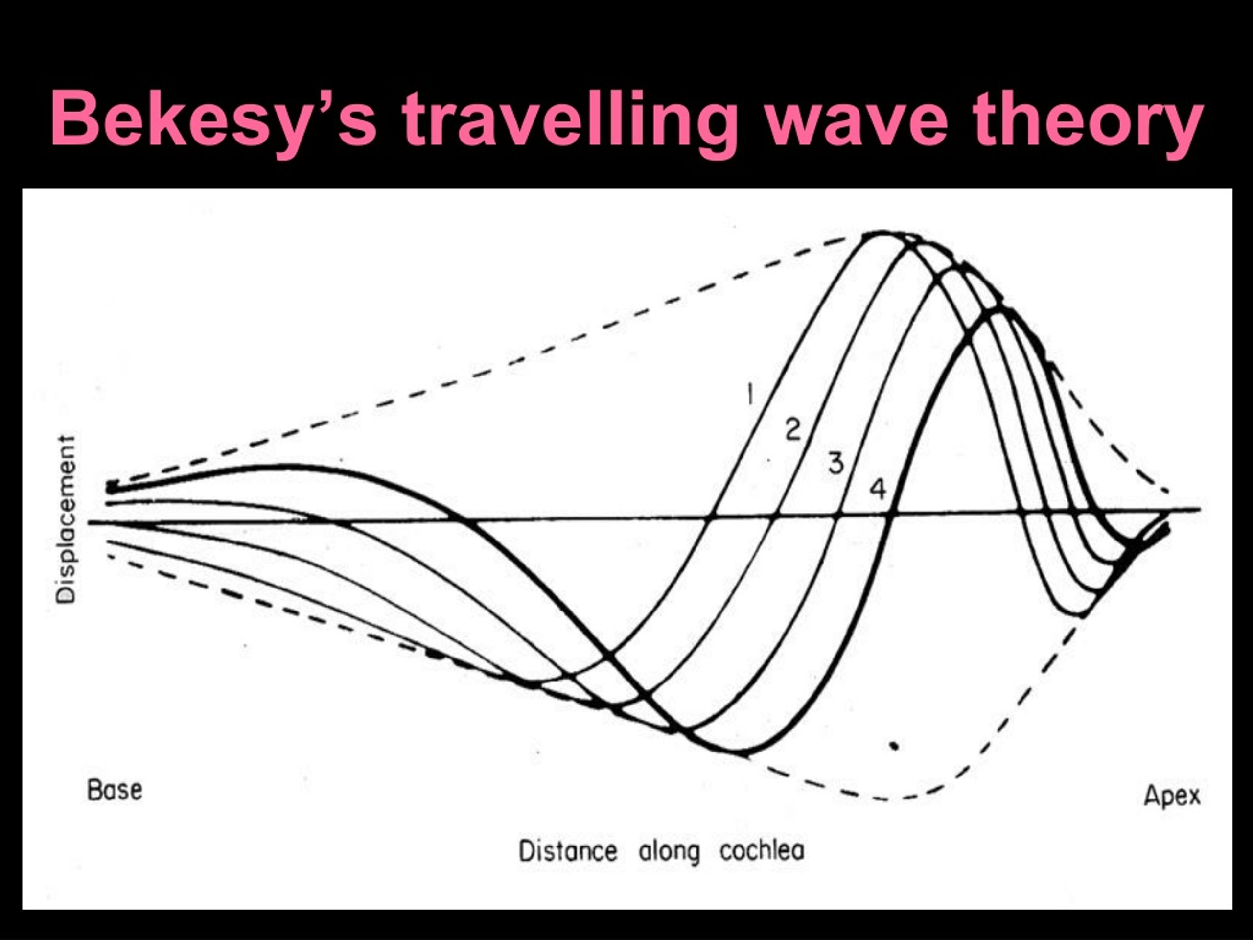 travelling wave theory of hearing