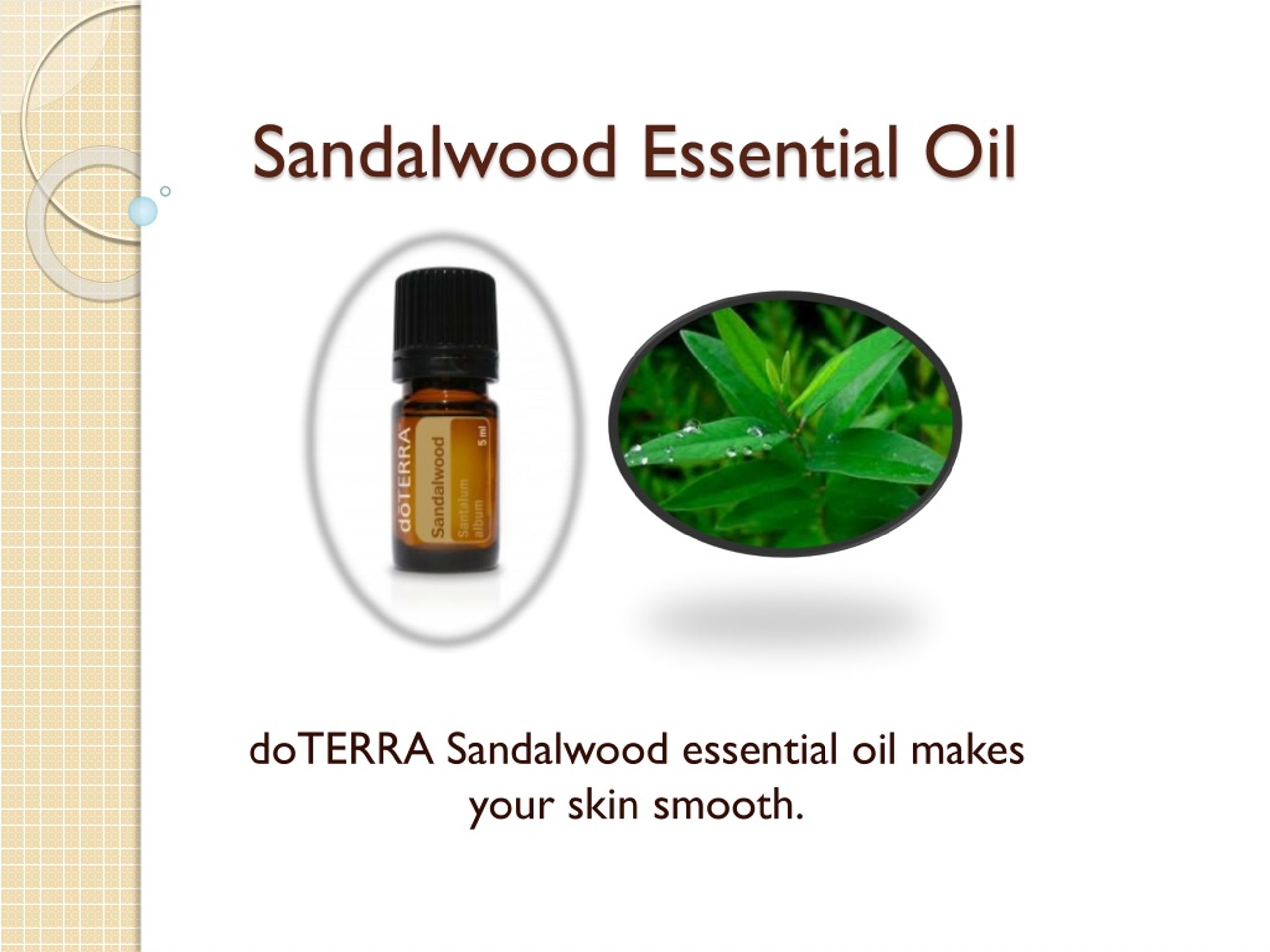 Sandalwood Essential Oil – Sourced Directly from India – The Indie Earth