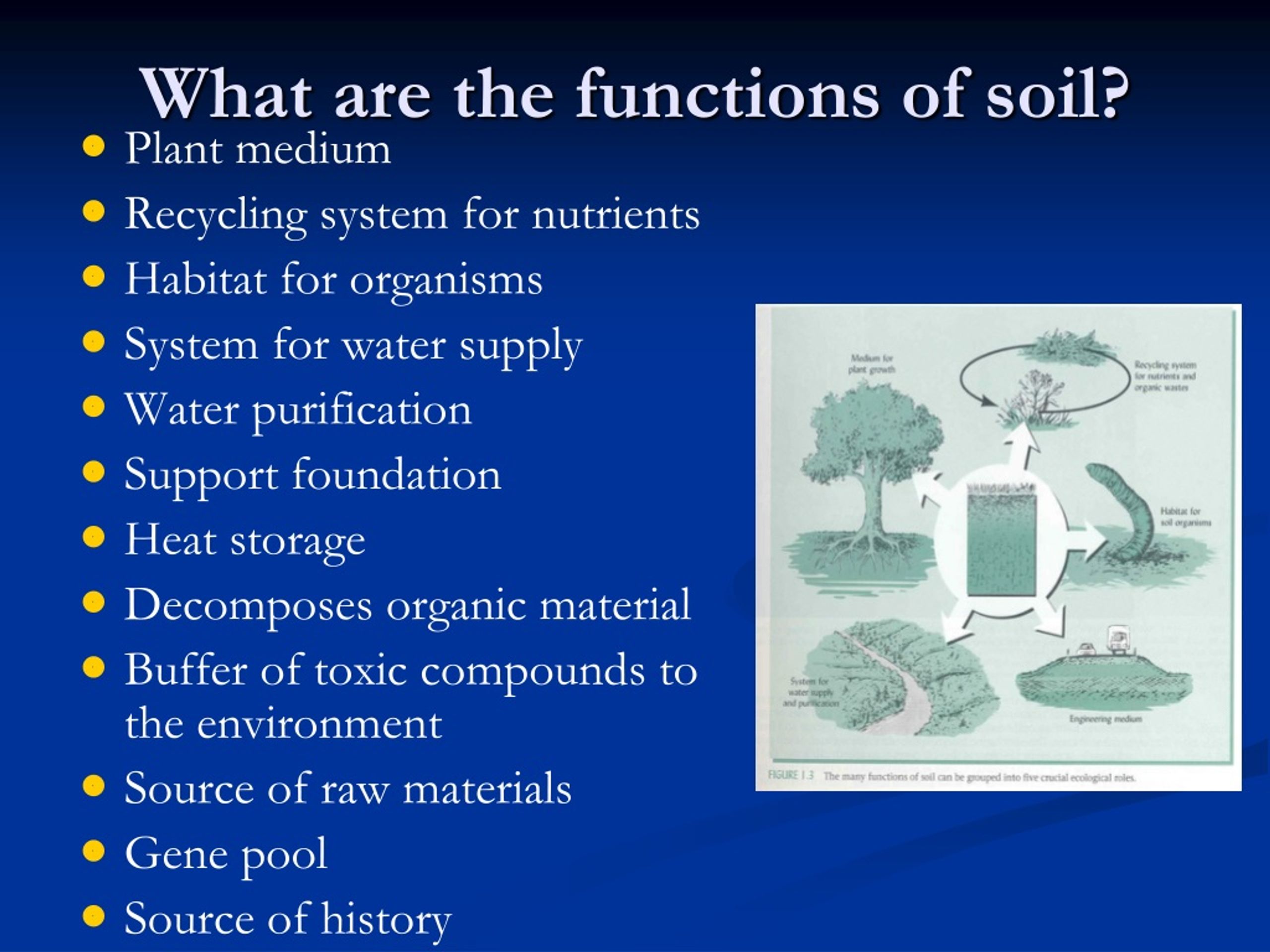 PPT - Soil PowerPoint Presentation, free download - ID:142407