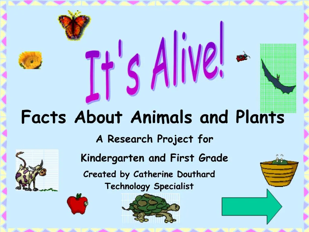 PPT - Facts About Animals and Plants PowerPoint Presentation, free download  - ID:1426090