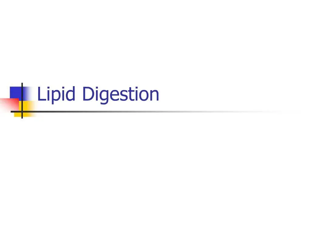 PPT - Lipid Digestion PowerPoint Presentation, free download - ID:1426564