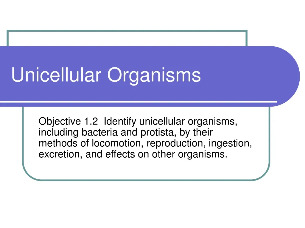 unicellular organisms n.