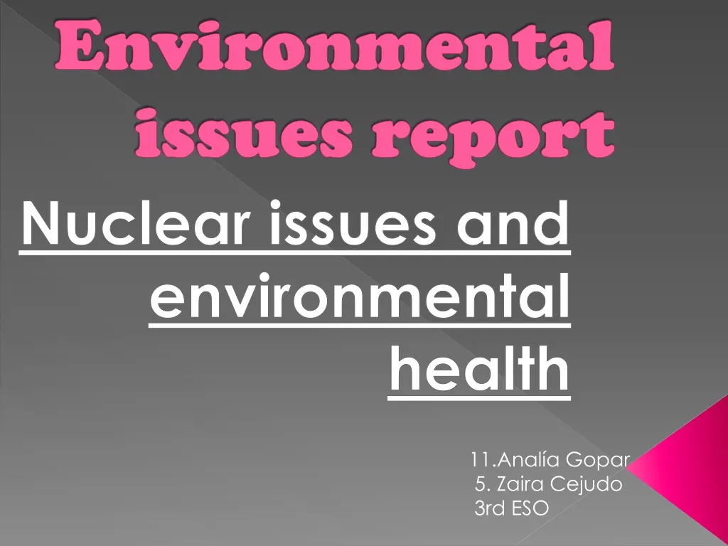 environmental issues report n.