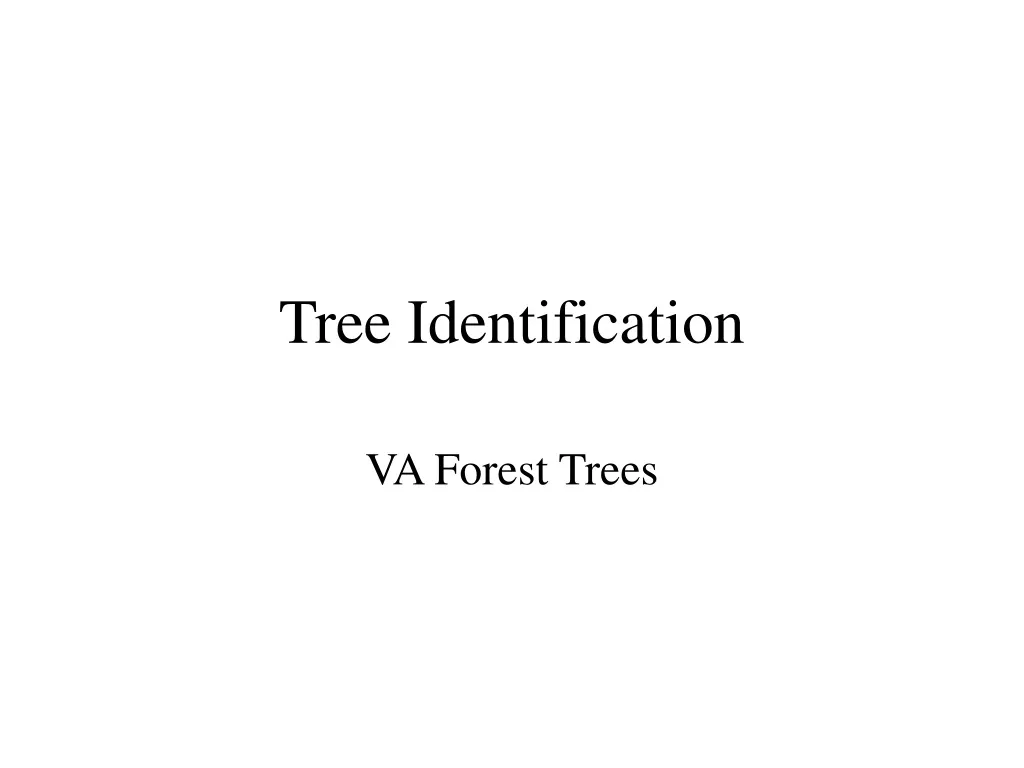 tree identification n.