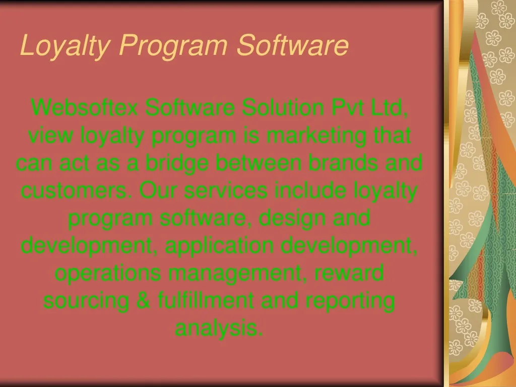 loyalty program software n.
