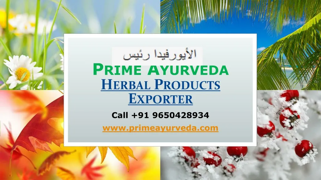 prime ayurveda herbal products exporter n.