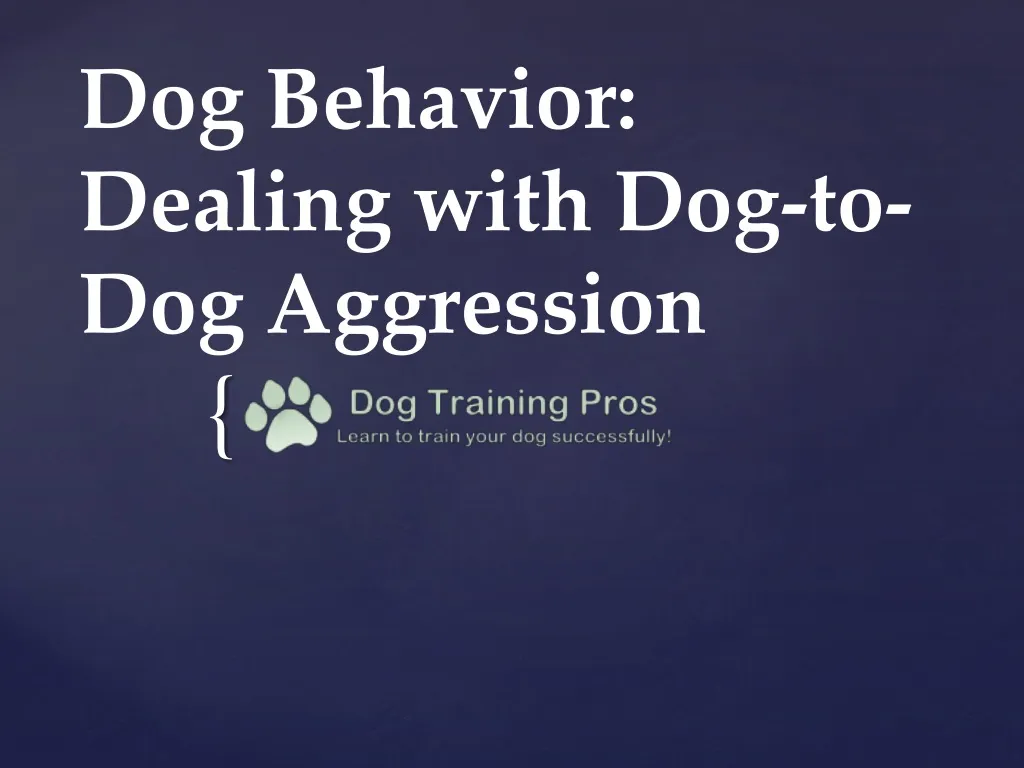 dog behavior dealing with dog to dog aggression n.