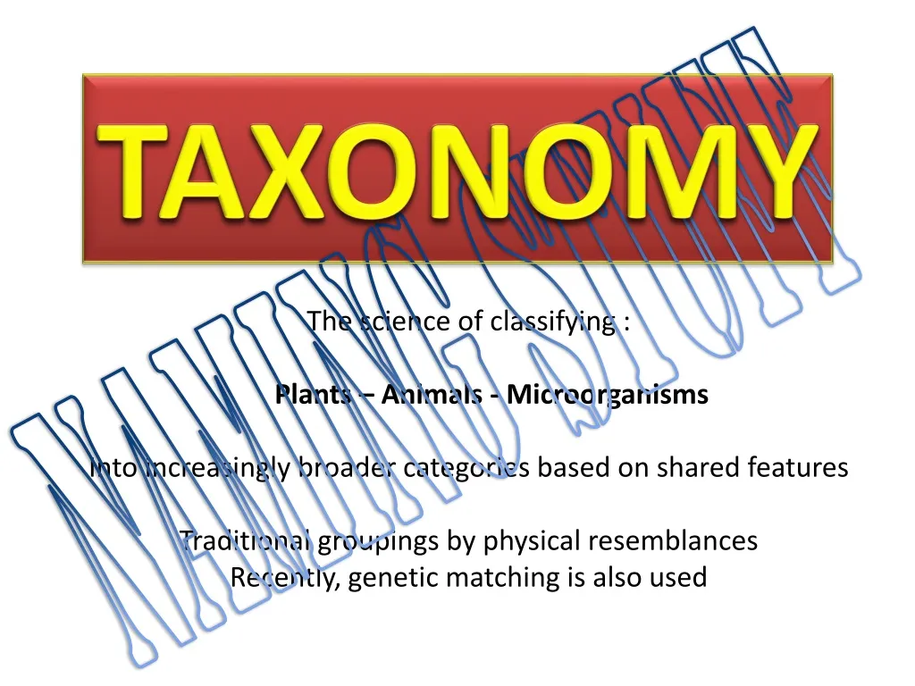 taxonomy n.