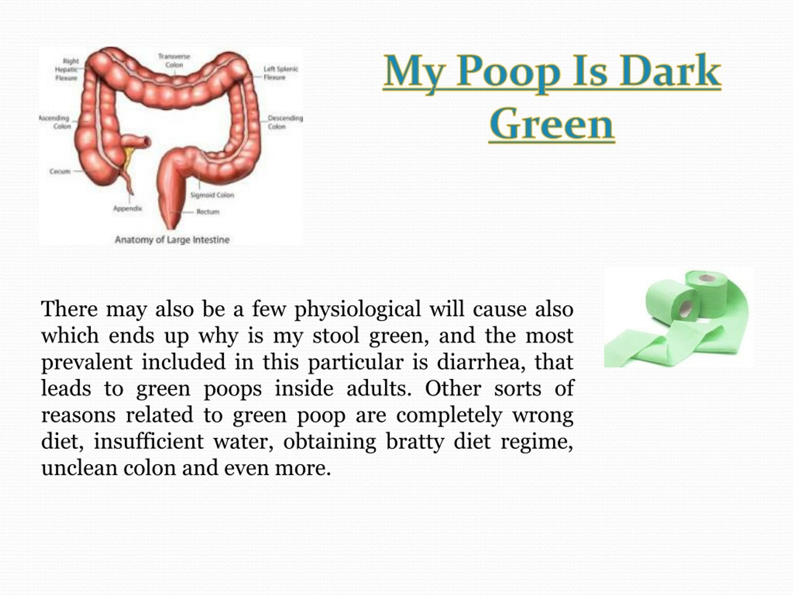 My Poop Is Dark Green L 