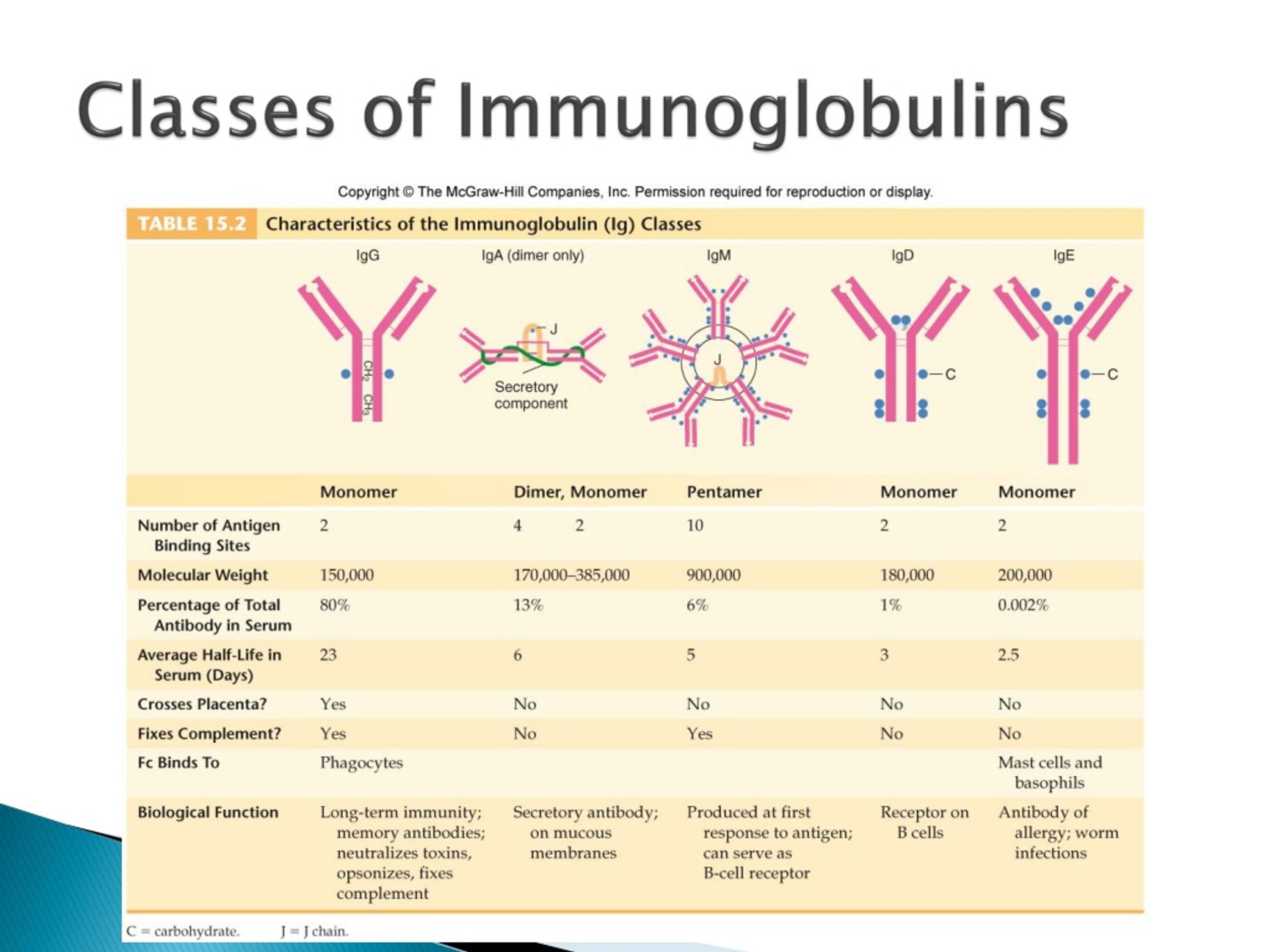 Иммуноглобулин е у детей форум. Iga иммуноглобулин. IGM иммуноглобулин. Норма иммуноглобулина LGA. IGE иммуноглобулин.