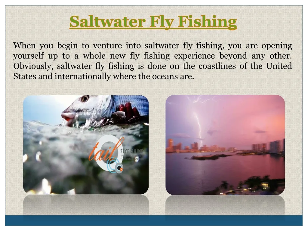 saltwater fly fishing n.