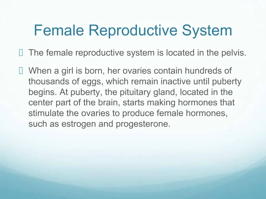 PPT - Female Reproductive System PowerPoint Presentation, free download ...