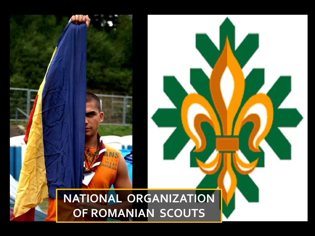 national organization of romanian scouts n.