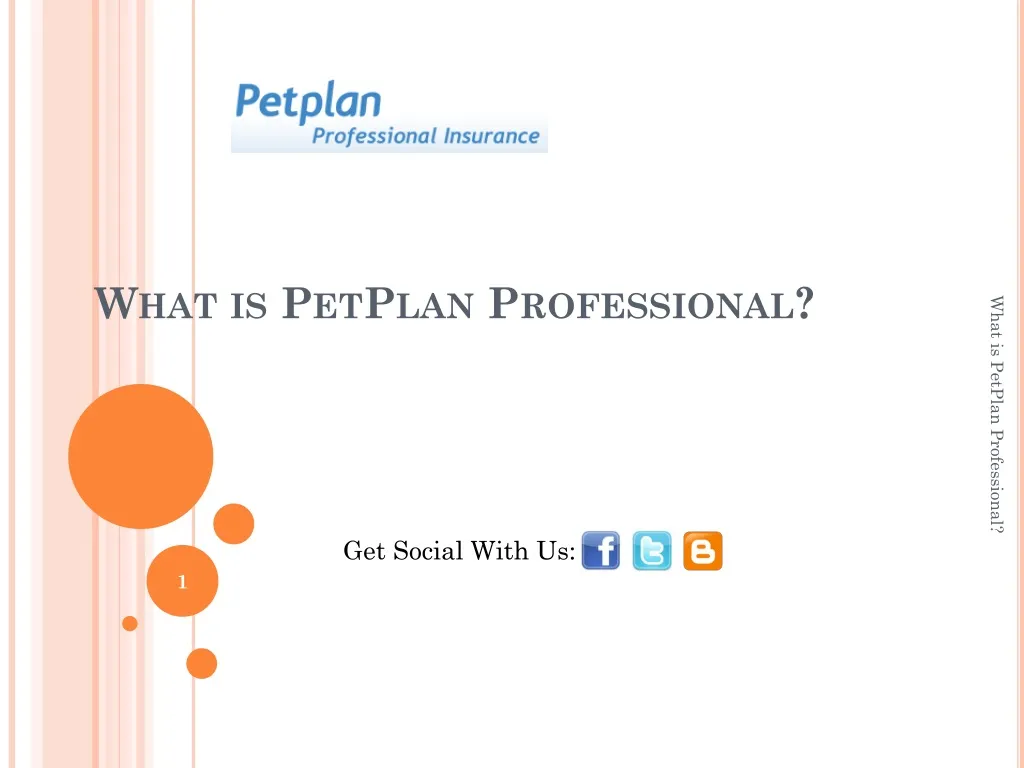what is petplan professional n.