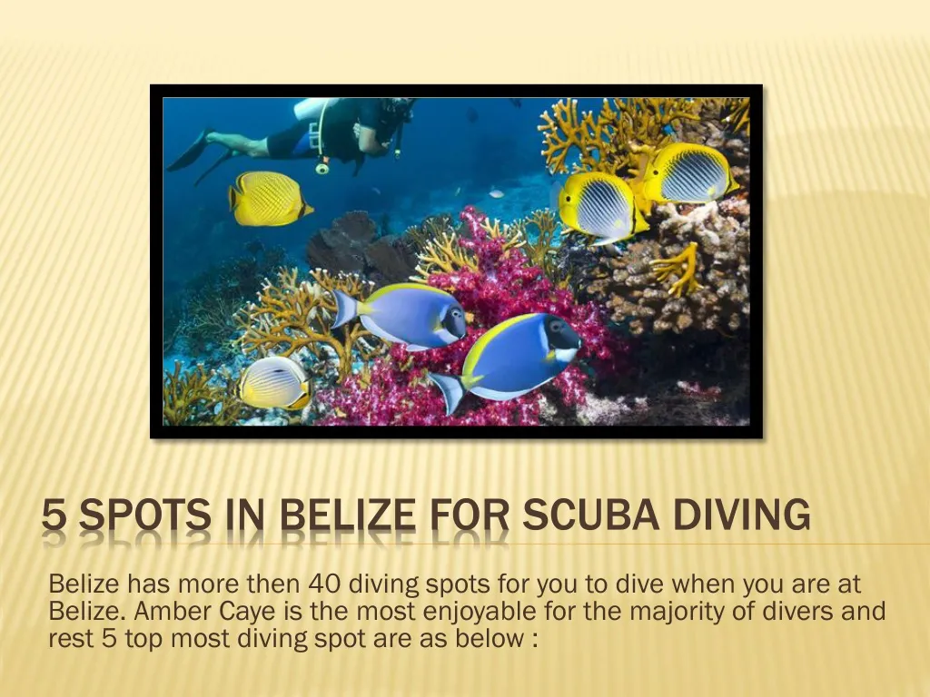 5 spots in belize for scuba diving n.