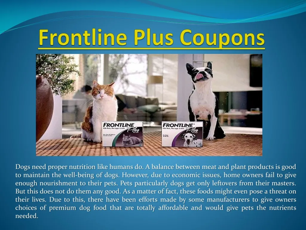 PPT - Flea Control Plan PowerPoint Presentation, free download - ID:1467075