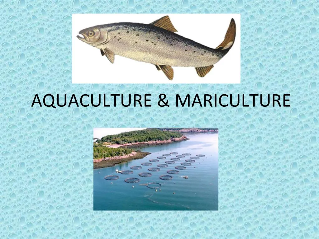 aquaculture-powerpoint-templates-free-download-nisma-info