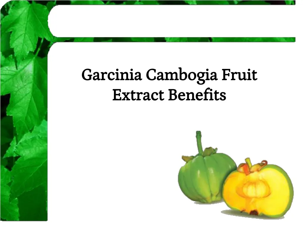 garcinia cambogia fruit extract benefits n.