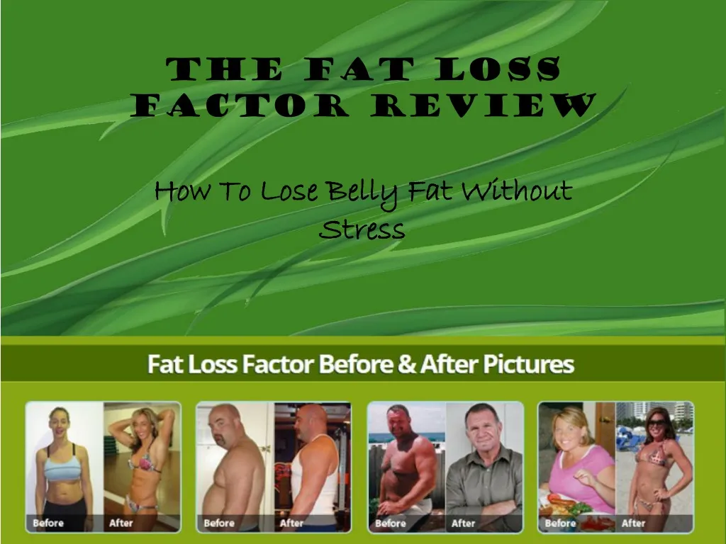 the fat loss factor review n.