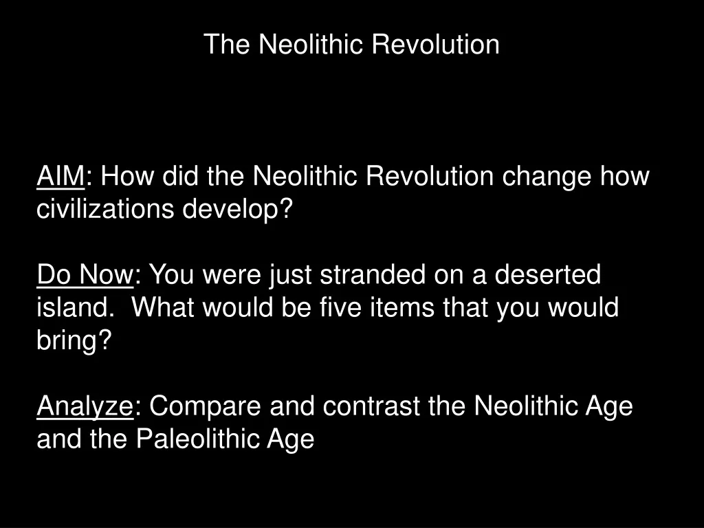 the neolithic revolution n.