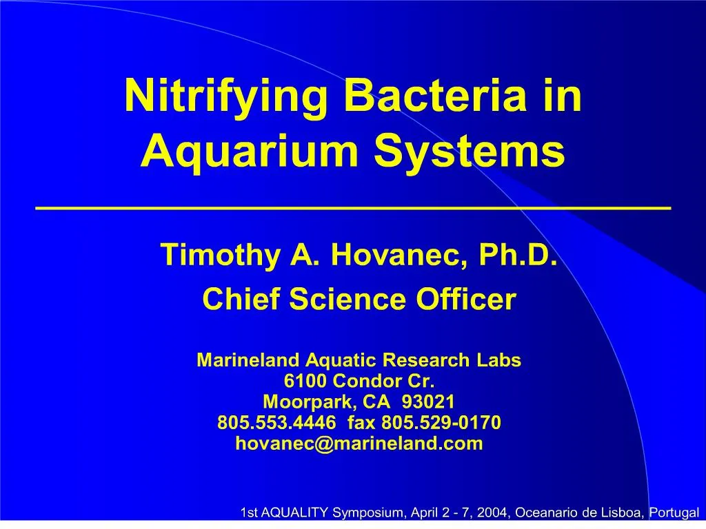 ppt-nitrifying-bacteria-in-aquarium-systems-powerpoint-presentation