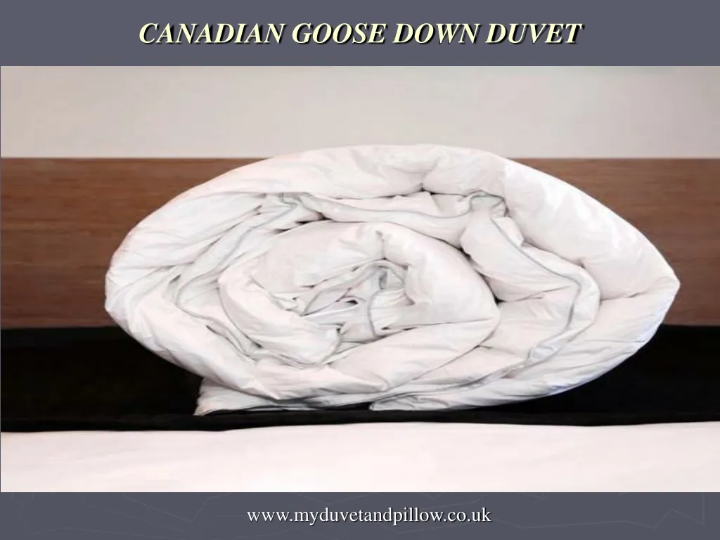 PPT Canadian goose down Duvet PowerPoint Presentation, free download