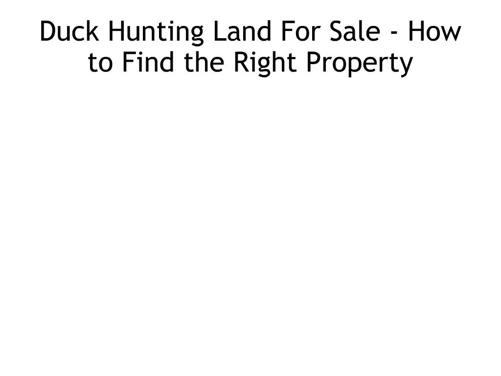 PPT Duck Hunting Land For Sale How to Find the Right Property PowerPoint Presentation ID