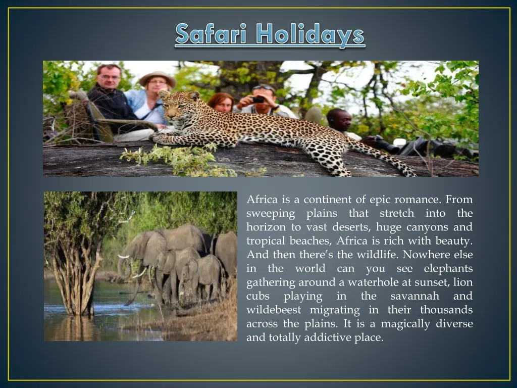 safari holidays n.