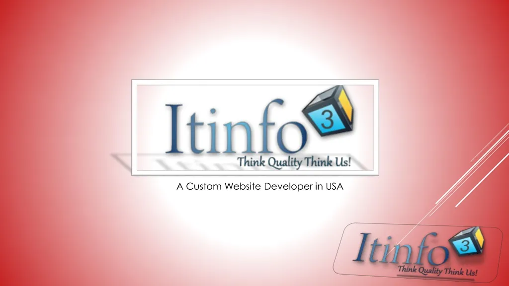a custom website developer in usa n.